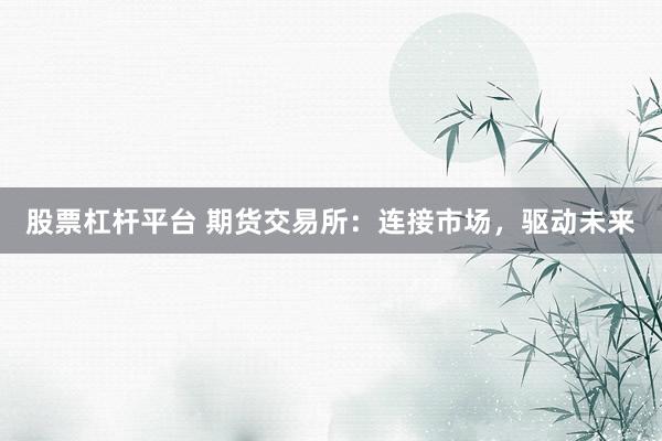 股票杠杆平台 期货交易所：连接市场，驱动未来