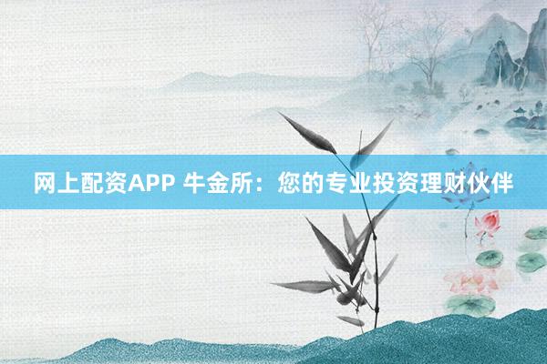 网上配资APP 牛金所：您的专业投资理财伙伴