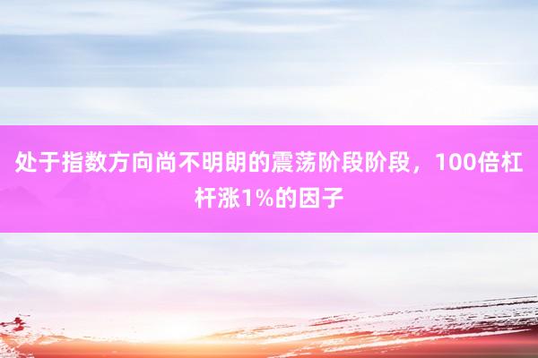 处于指数方向尚不明朗的震荡阶段阶段，100倍杠杆涨1%的因子