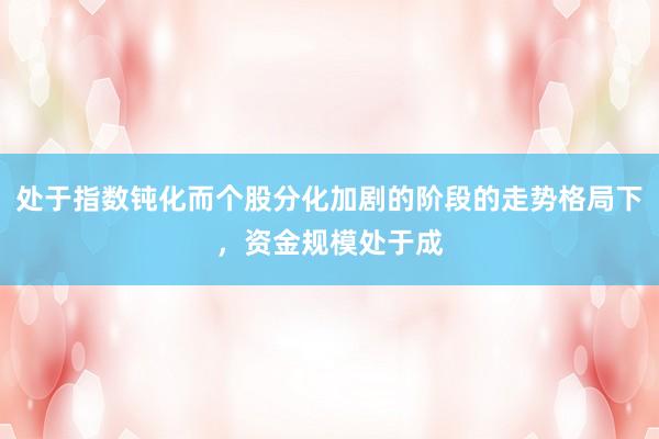 处于指数钝化而个股分化加剧的阶段的走势格局下，资金规模处于成